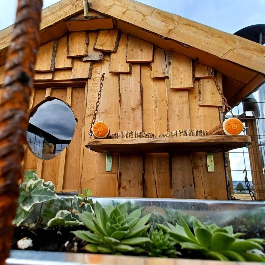 La Cabane Du Coing Visé Exterior foto